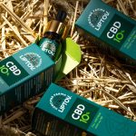 cbd-oil-10-full-spectrum-premium-1