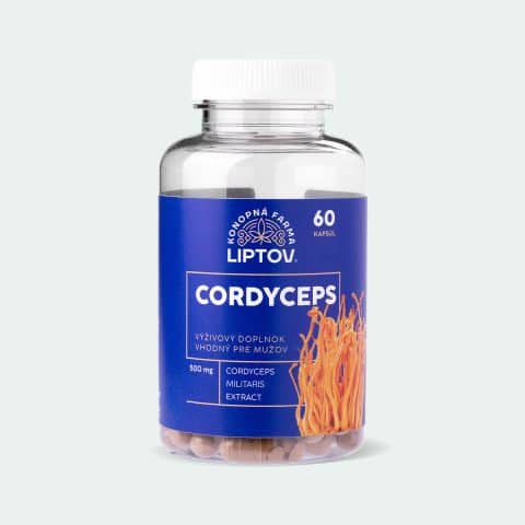 cordyceps dietary supplement